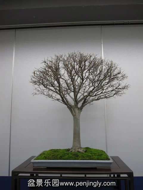 psb (45).jpg
