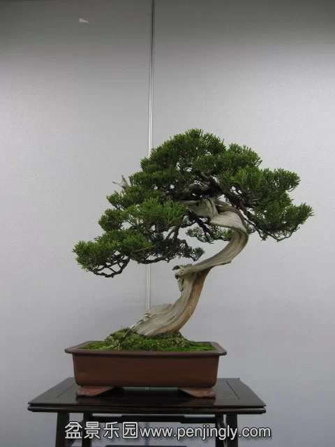 psb (46).jpg