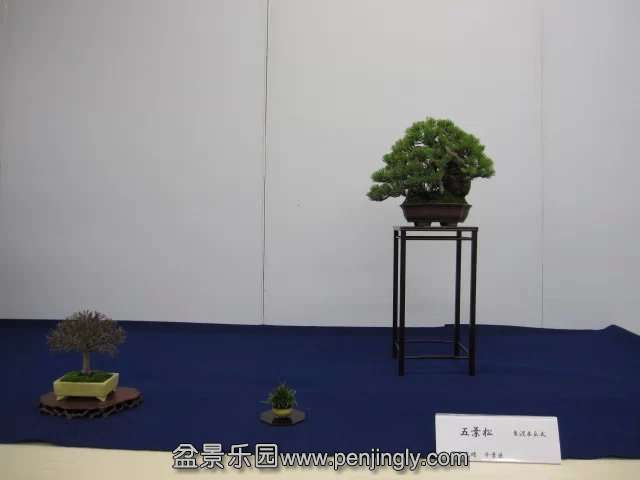 psb (47).jpg