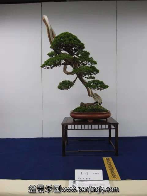 psb (48).jpg