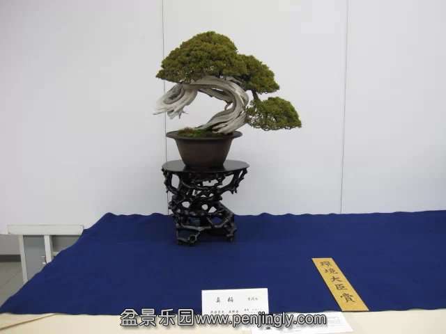 psb (57).jpg