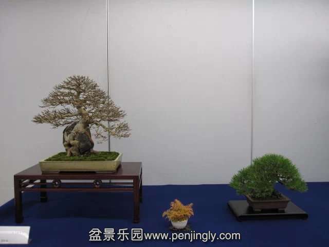 psb (59).jpg