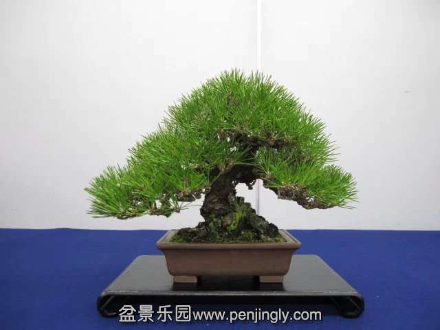 psb (61).jpg