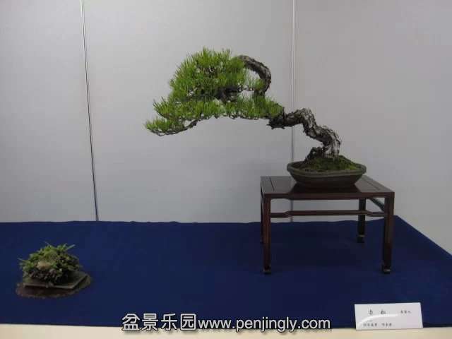 psb (63).jpg