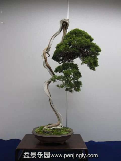 psb (65).jpg