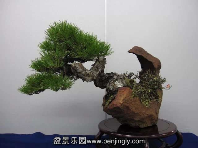 psb (66).jpg