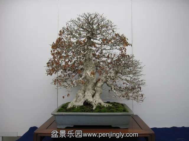 psb (69).jpg