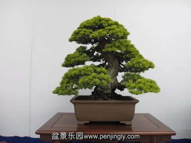 psb (70).jpg
