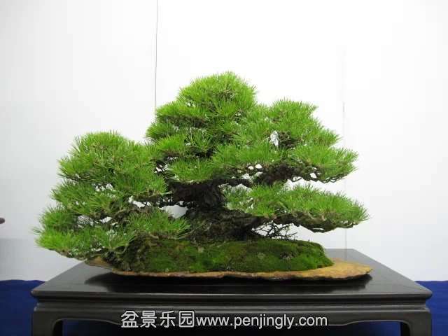 psb (71).jpg