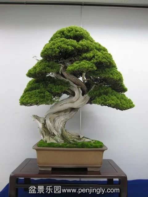 psb (73).jpg