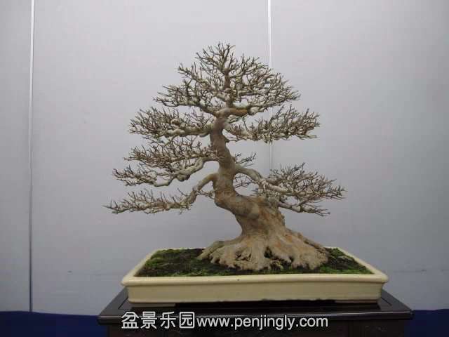 psb (74).jpg