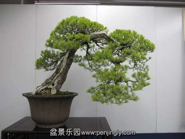 psb (77).jpg