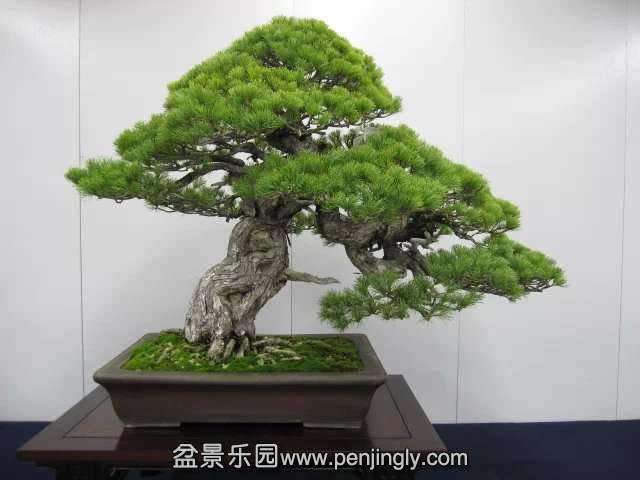 psb (80).jpg