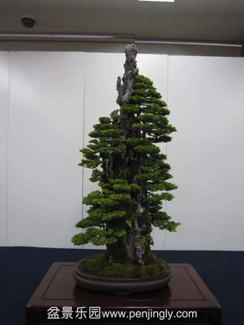 psb (81).jpg