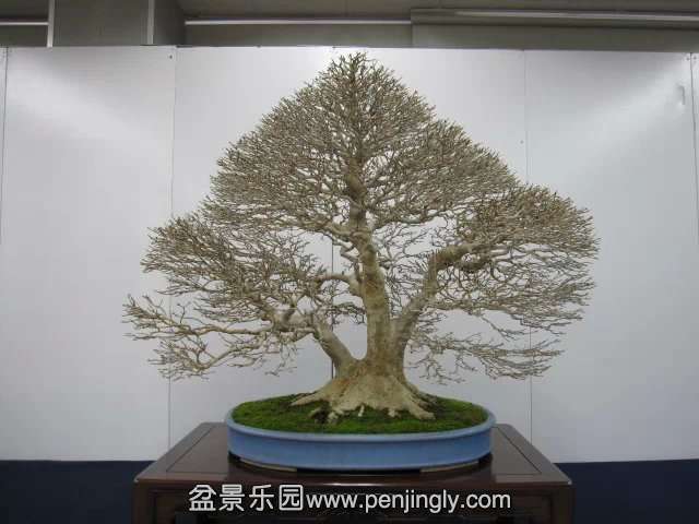 psb (82).jpg
