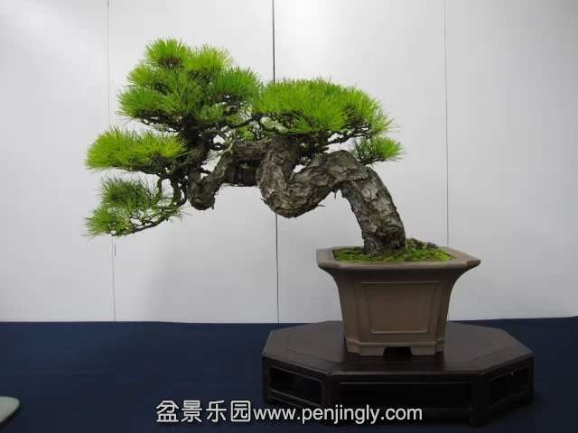 psb (83).jpg