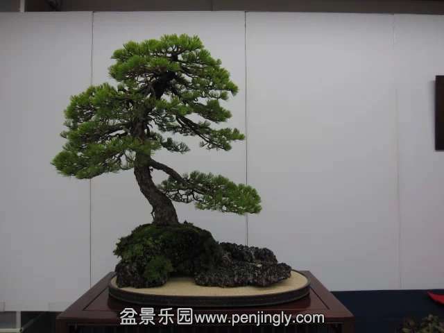 psb (84).jpg