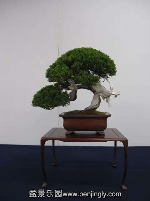 psb (86).jpg