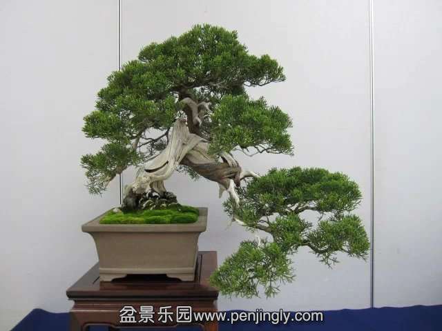 psb (88).jpg