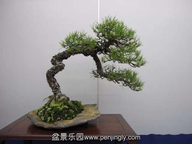 psb (89).jpg