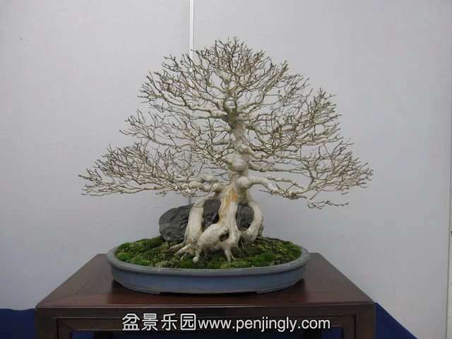 psb (90).jpg