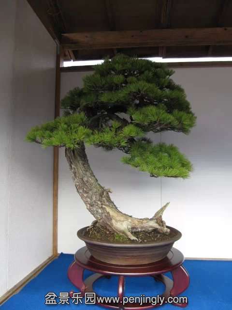 psb008.jpg