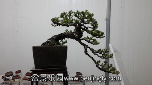 20141226_194331.jpg