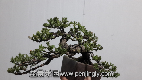 20141226_194428.jpg
