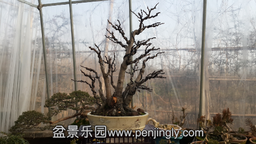 20141227_134330.jpg