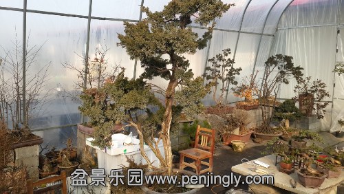 20141228_093839.jpg