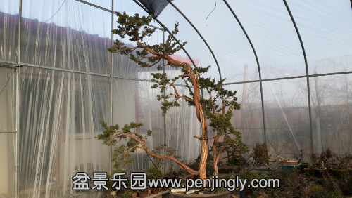 20141228_145444.jpg