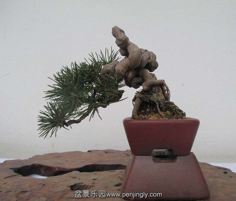 IMG_0501.JPG