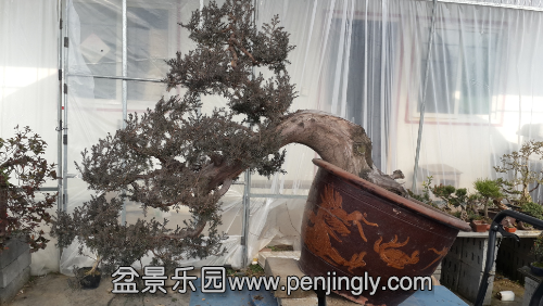 20141230_122846.jpg