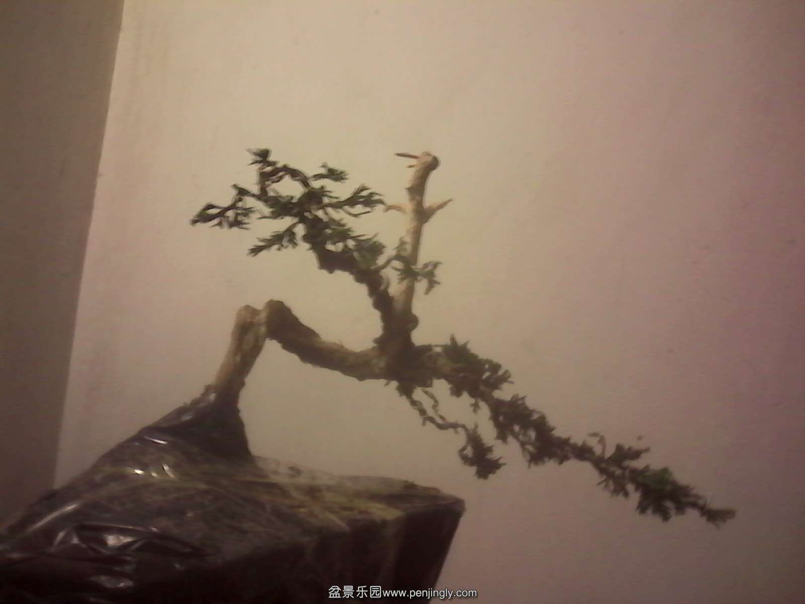 IMG_20141230_213804.jpg