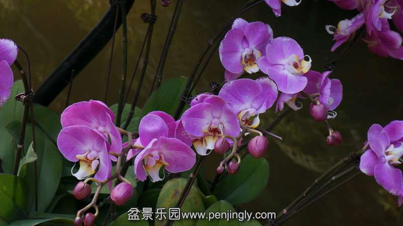 DSC01928.JPG