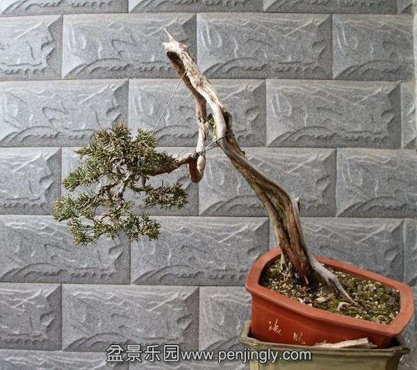 Ƭ 028.jpg