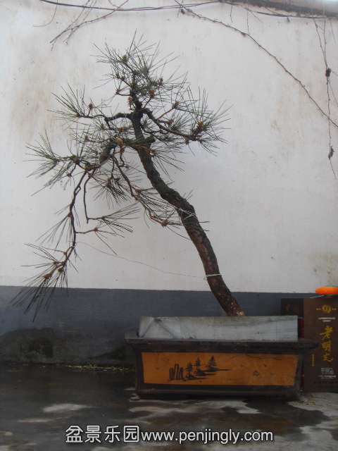 DSC09907.JPG