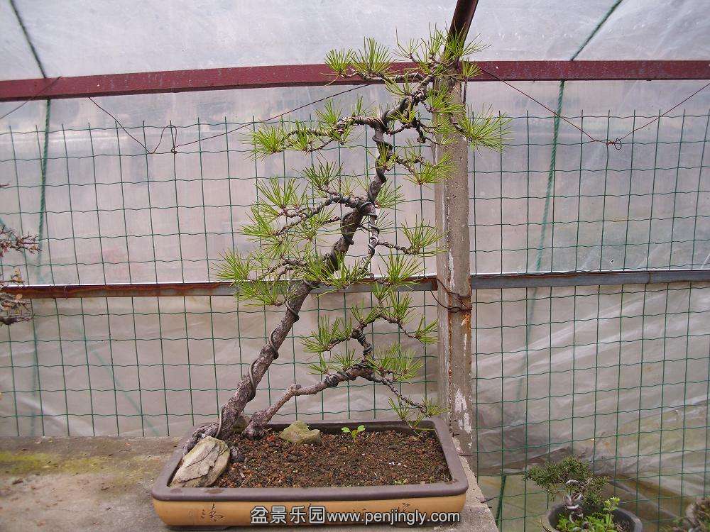 DSCI0374.JPG