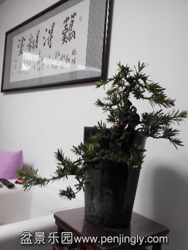 IMG_20150106_133205.jpg
