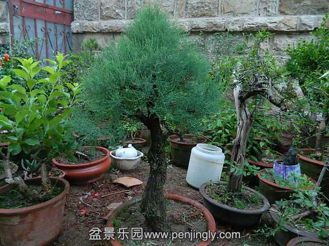 DSCN0309.jpg