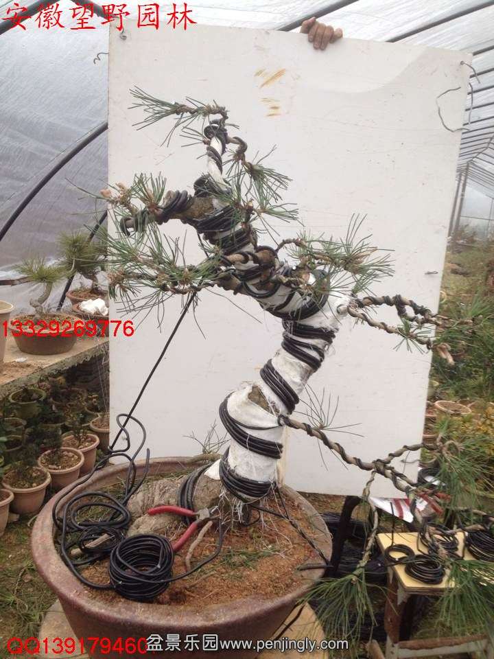 C4E1EAA8C5CA823DAFE626EA1DD3A9B7.jpg