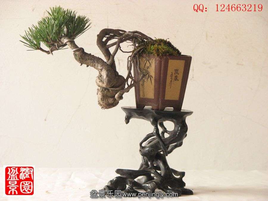 IMG_0964__.jpg