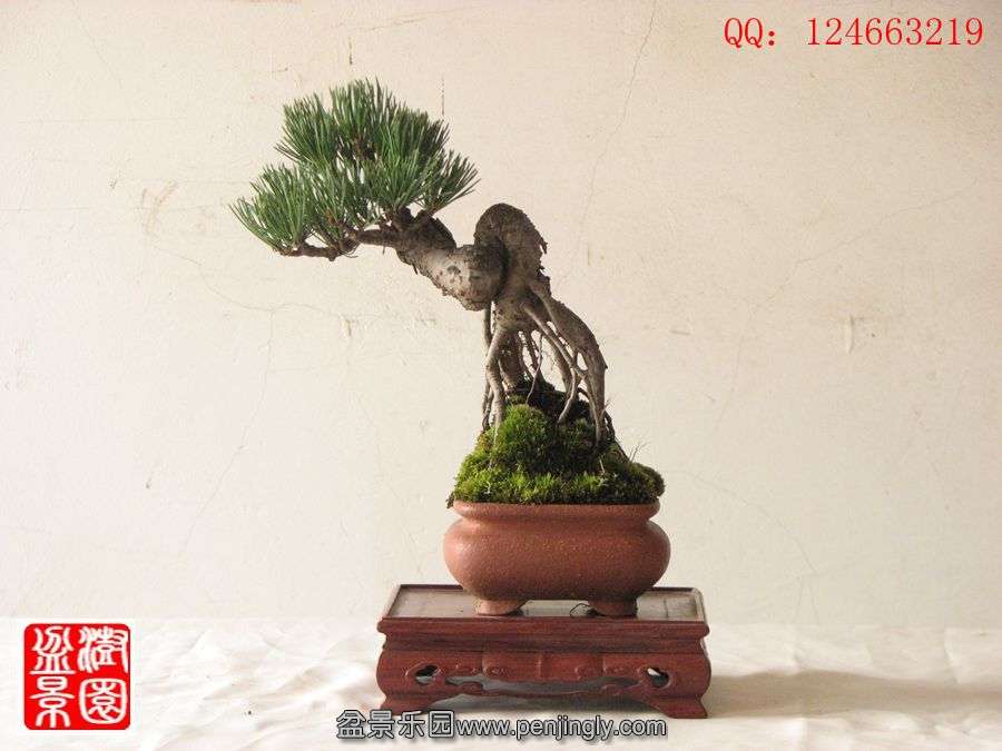 IMG_0979_.jpg