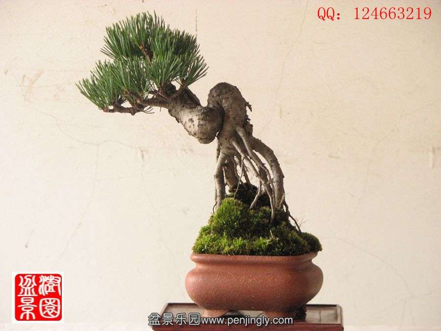 IMG_0982_.jpg