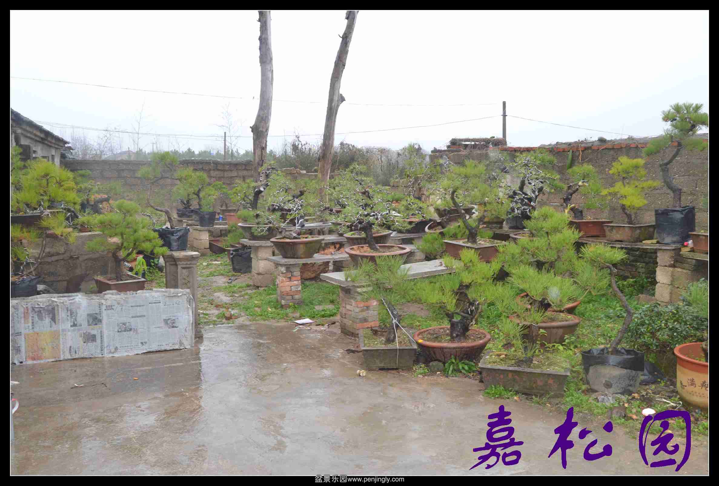ͺ辰 049.JPG