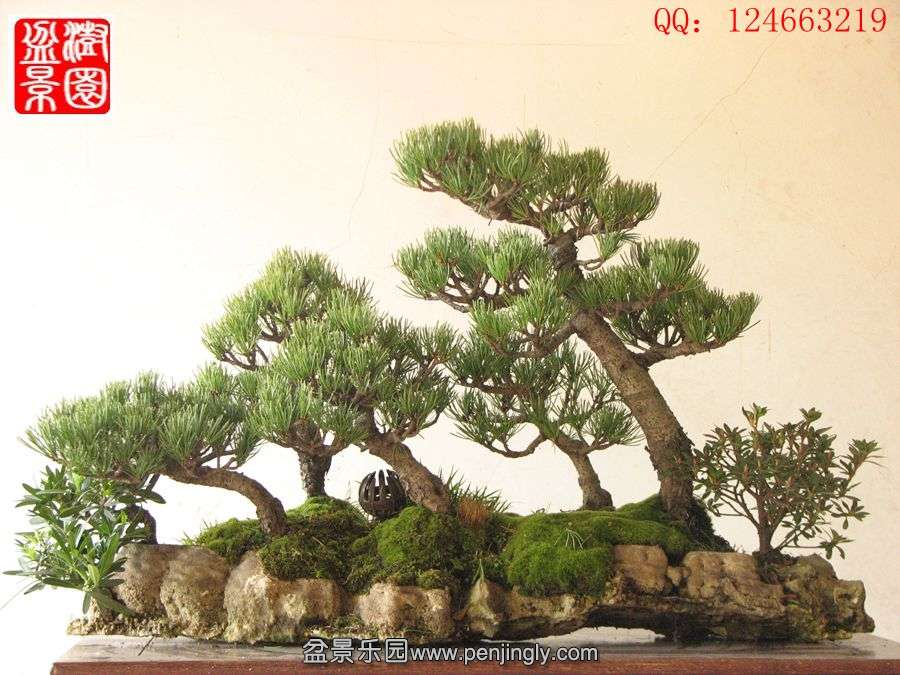IMG_0985__.jpg
