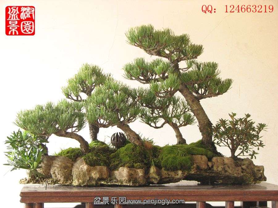 IMG_0989__.jpg