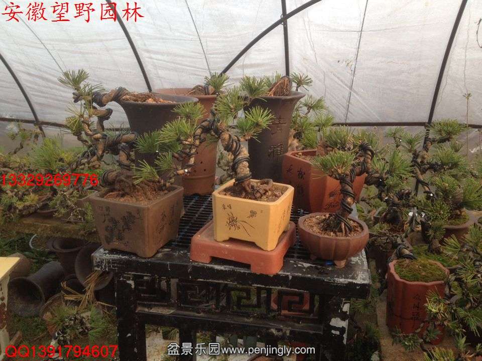 CCDAC5FDF901BA4EA7F64D24A28BD57B.jpg