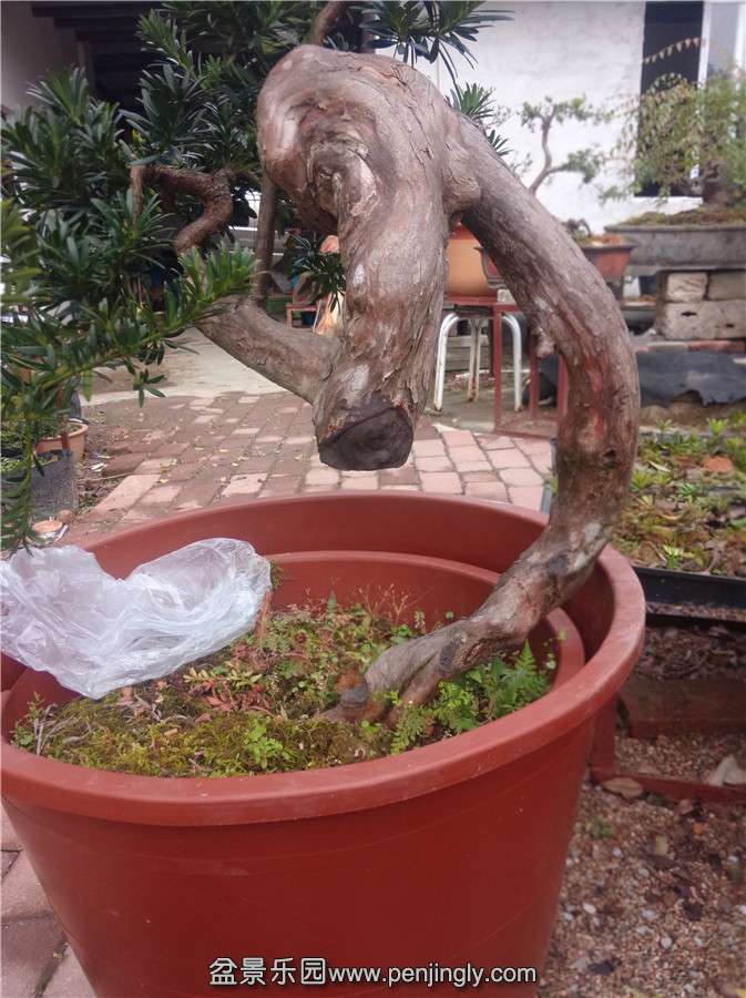 IMG20150113122512.jpg