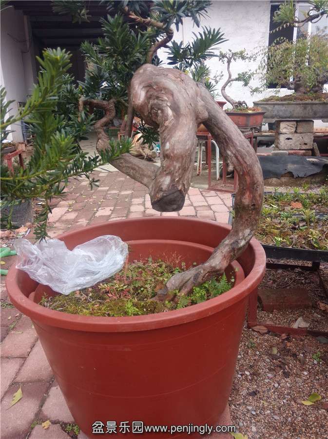IMG20150113122518.jpg